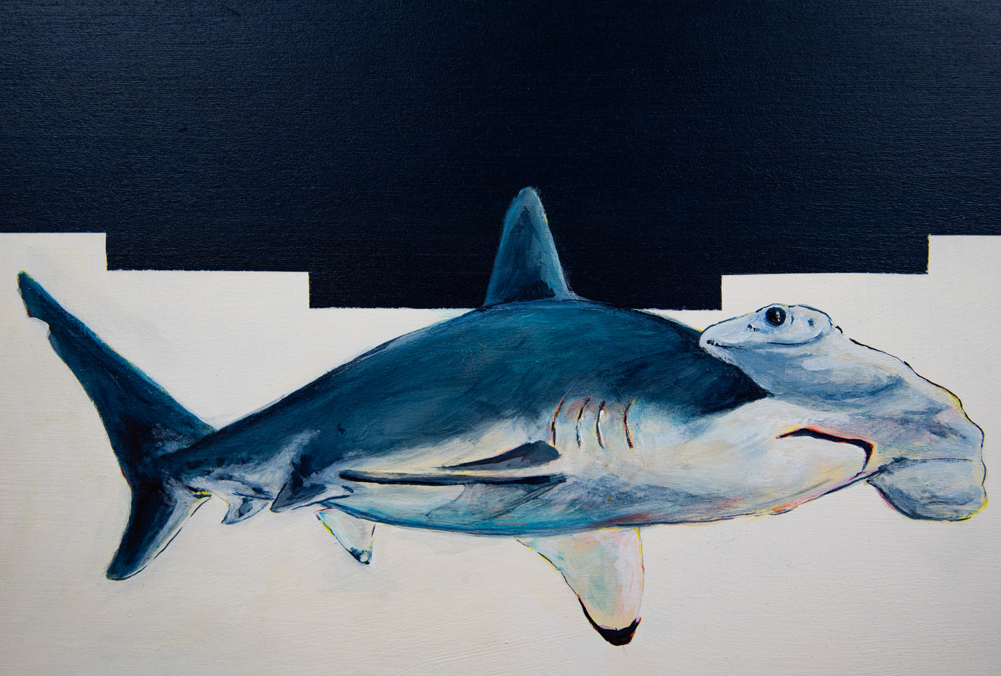 Sanctuary: Great HammerHead Shark