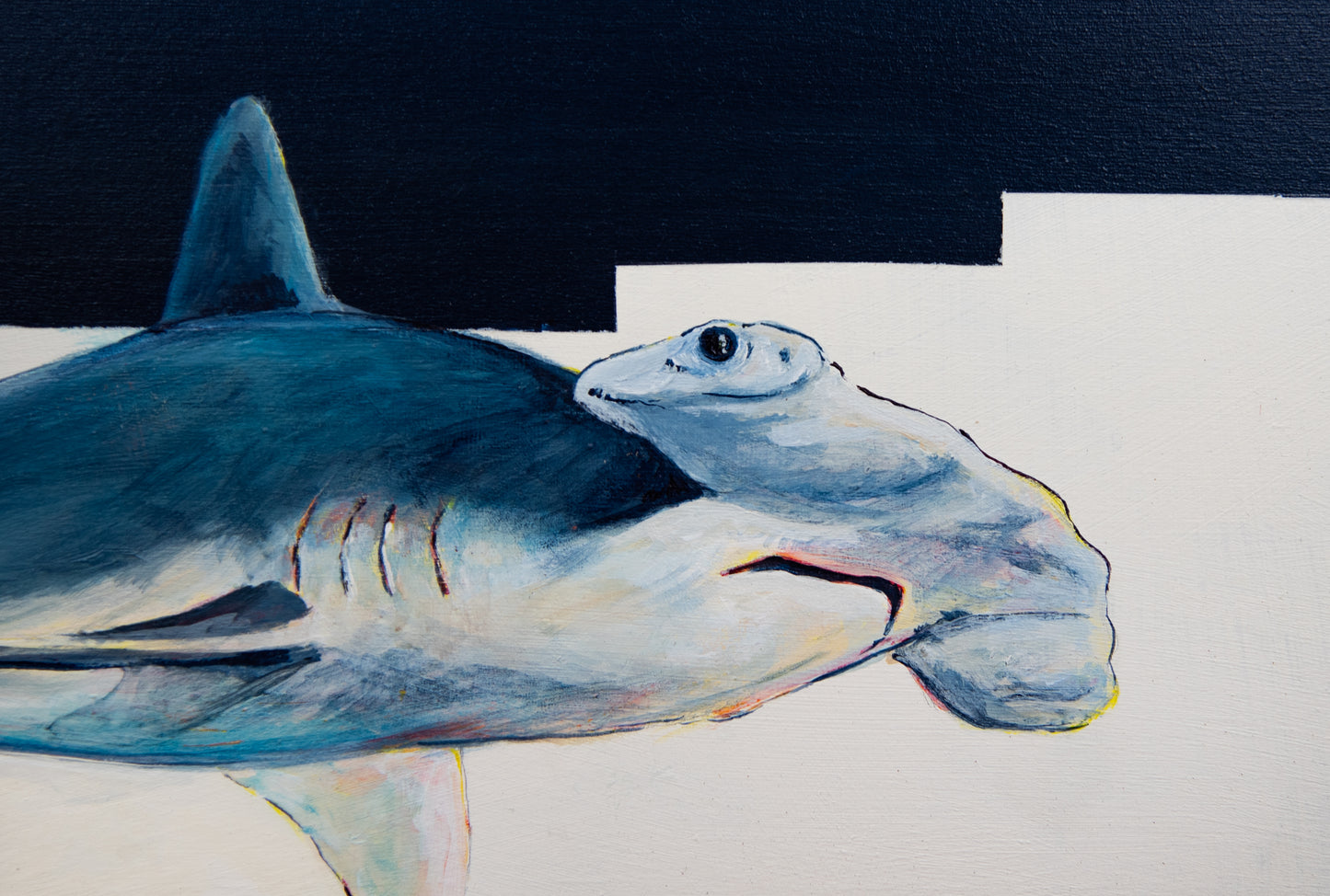 Sanctuary: Great HammerHead Shark